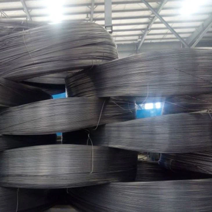 Ellittica piazza trapezoidale triangolo esagonale C-forma D-forma non Standard personalizzato molla filo di acciaio